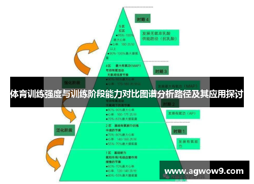 体育训练强度与训练阶段能力对比图谱分析路径及其应用探讨